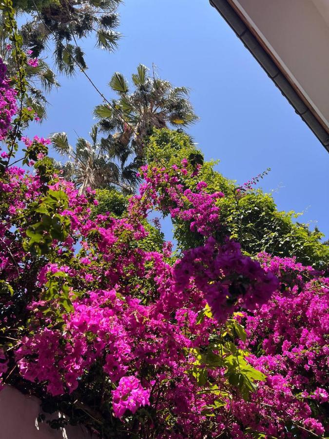 Palma Rosa Hotel Camyuva Exterior photo
